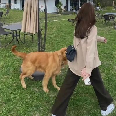 十字剑第一季
